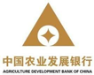 中国农业开展银行：综合报表平台